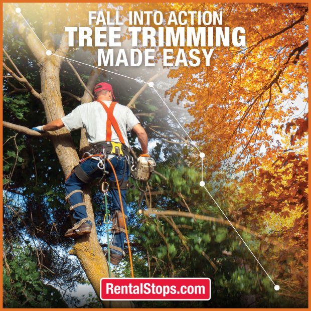 Tree Trim before FALL